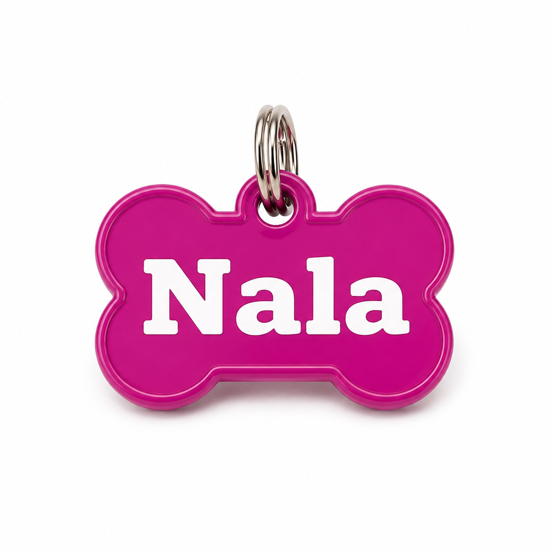 Personalized Pet Name Tag
